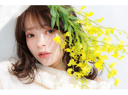 クロエ 目黒(Cloe)の写真