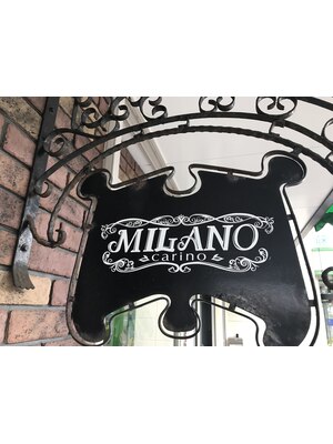 ミラノ カリーノ MILANO carino
