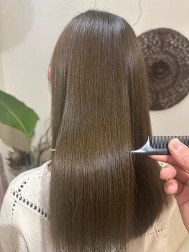 リゴッツ ドゥア プトゥリ(Regottz dua putri) 透明感艶髪カラー12.11オリーブグレー