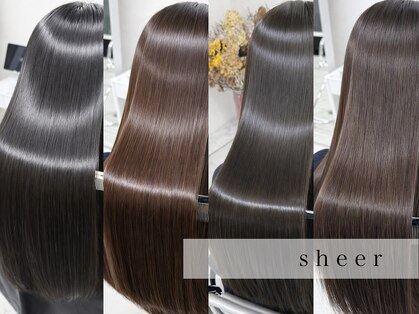 シアー(sheer)の写真