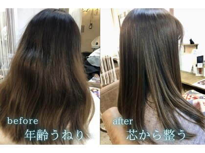 クオリア(QUALIA)の写真