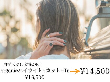 リットバイディア 茅ヶ崎(Lit by diar)の写真
