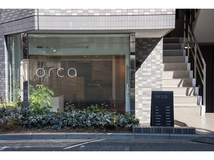 オルカ(orca)の写真