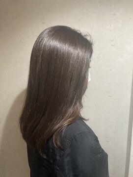 ルピナス(Lupine.) ミディアム