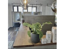 サロンドパリス ジュエル(Salon de Paris Jewel)の雰囲気（N.取扱店！）