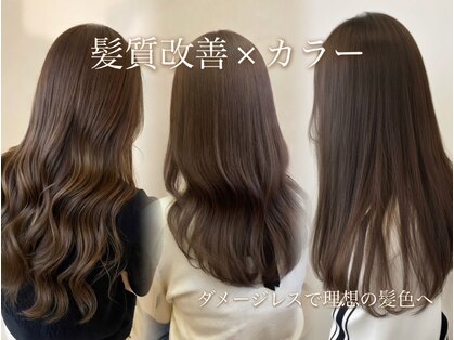 ルードノエル(Rue de Noel)の写真