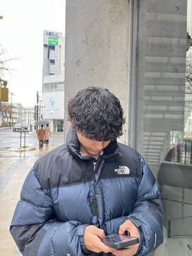 アウラ(AURA) 波巻きプードル