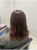 iLUMi　×　イルミナカラー