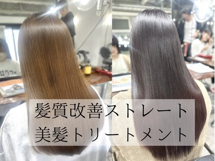 ホリー(HOLLY)の写真