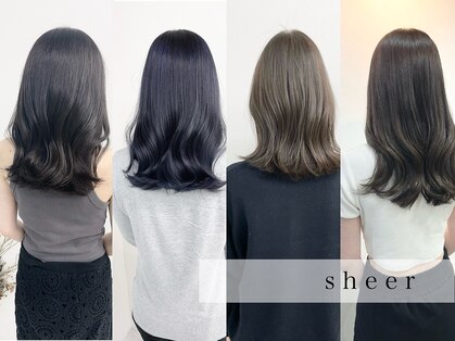 シアー(sheer)の写真