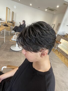 ヤテ(yate') フェザーショート