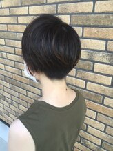テディ(Teddy)&nbsp;ハンサムショート