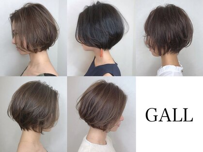 ガル(GALL)の写真