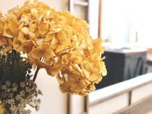 シンジョウ(SHINJO)の雰囲気（幅広い年齢層に親しんでもらえる空間となっております♪）