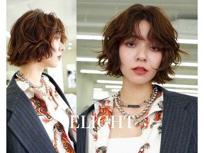 エライトランドマーク(ELIGHT LM)の写真