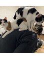 パクタ(PAcuTA.) 猫好き！3匹と一緒に暮らしてます！ネコトーク大歓迎です^_^