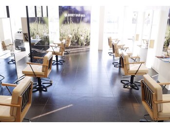 BUDDY HAIR exx.　【バディヘア　イクス】