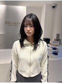 ハッシュカット/レイヤーカット/髪質改善カラー/艶髪