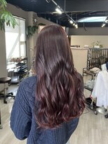 アリカ(arika) カシスレッド