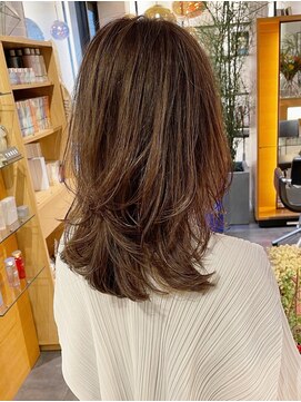 エイゾー(EIZO) 脱白髪染めハイライト