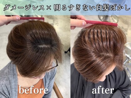 メモリーズ 表参道(Memories)の写真
