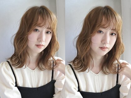 ニカイ(NIKAI.)の写真