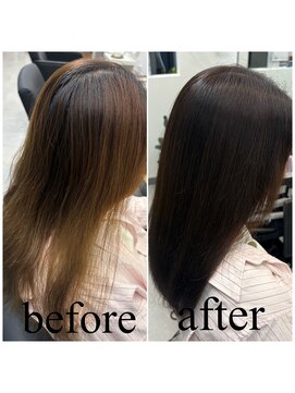 テンカラーズ 五反田(10COLORS) チョコレートブラウンカラー