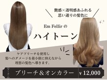 アンフェリール 原島店(Em Fellir)の雰囲気(人気のハイトーンカラーで初めてのブリーチも安 心◎)