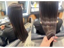 エミュ(emu)