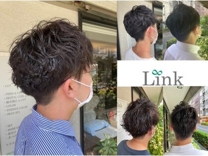 リンク(Link)の写真
