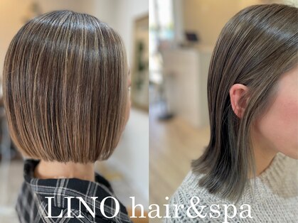 リノ(LINO)の写真
