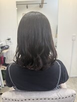 ステラー(Stellar)&nbsp;ミディアム