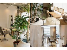 ソワ バイ ルシル(SOIE by Lucile)の雰囲気(植物と共に癒しの空間を【福島/福島市/福島駅/髪質改善】)
