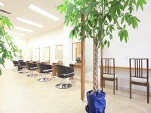 アイビスヘアー(ibs hair)の雰囲気（緑が多い店内でゆっくり癒されて下さい★[京成大久保駅]）