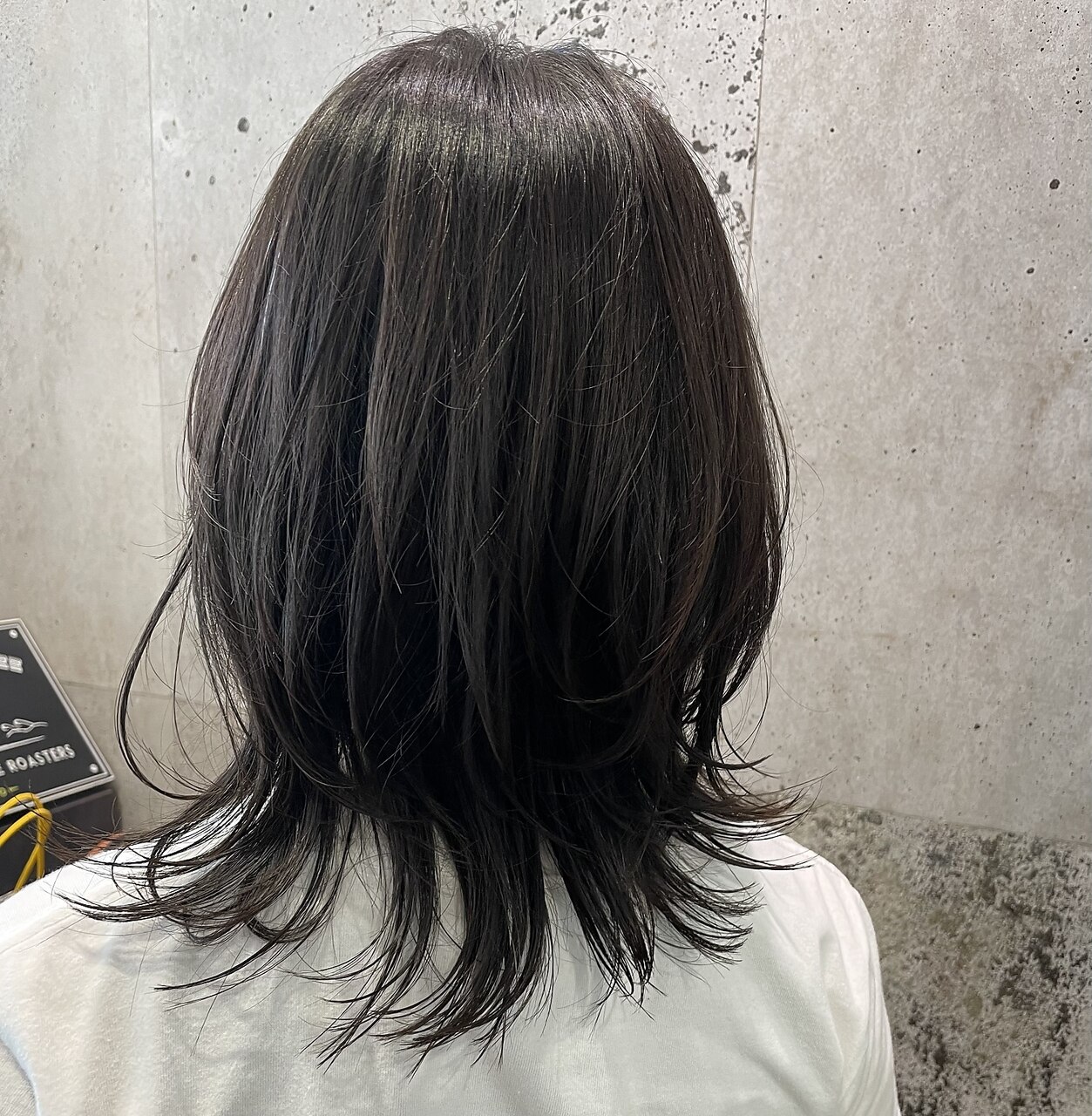最新白髪ケア【ハイドレイブ】＋カラー＋カット＋トリートメント＋スパ