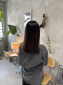 トラン(TRAN) ナチュラルストレート × ダークブラウン
