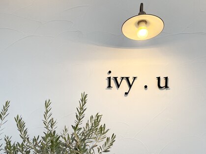 アイビーユー(ivy.u)の写真