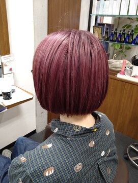 イベリス(Iberis) ピンクラベンダー