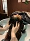 エイトオオブ(EIGHT OBU)の写真/【大府/半個室】頭皮改善するエイジングケア<イーラル>使用◇髪を美しく見せるだけではなく美しく育てる☆