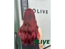 オリーブ(OLIVE)