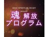  『魂解放プログラム』購入者限定  有料zoomカウンセリング 90分 