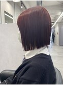 【市井友佳子】ボルドー×切りっぱなしボブ
