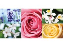 『 色褪せない美しさと、時間を超える上質をすべての髪に届けたい 』 をコンセプトに...。