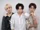 ステラ(STELLA)の写真