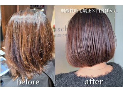 クシェルヘア(kuschel hair)の写真