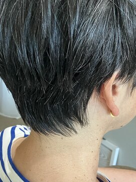 本と南風 guest design