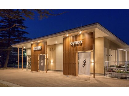 チャコ ジー(cyaco g)の写真