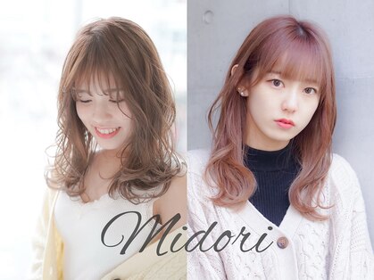 ミドリ(MIDORI)の写真