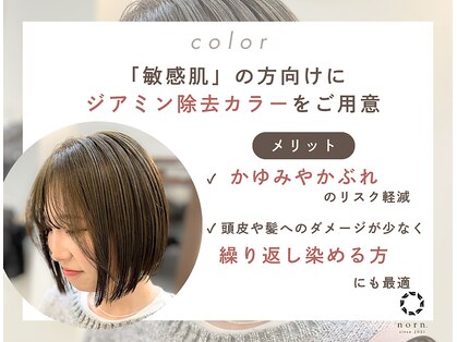 ノルン(norn.)の写真