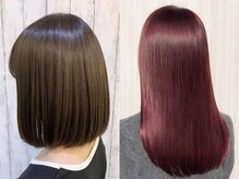 リンク 河内山本店(Link)